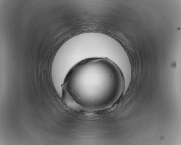 X0000096190376200802011412