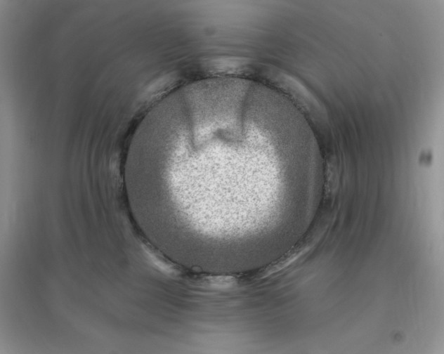 X0000096190377200802011412