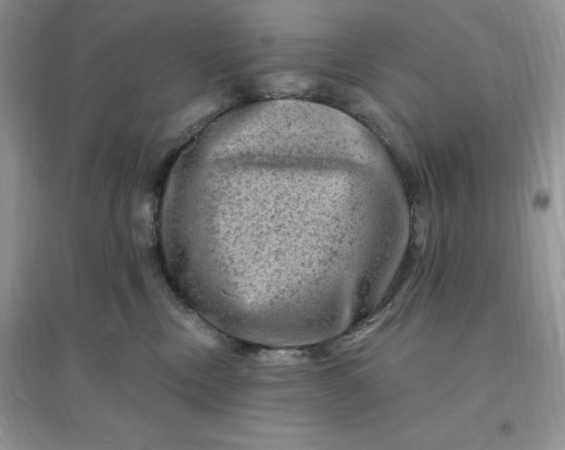 X0000096190378200802011412