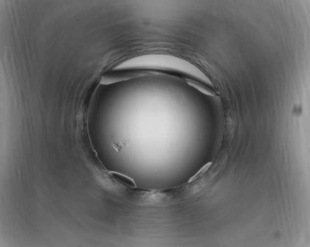 X0000096190379200802011412