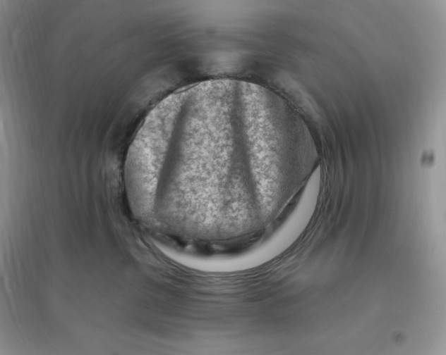 X0000096190380200802011412