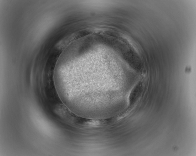 X0000096190381200802011412