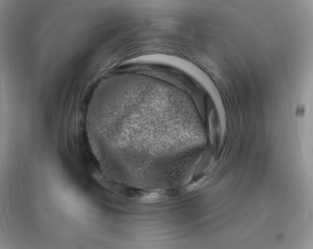 X0000096190382200802011412