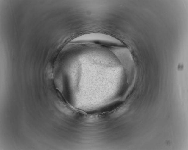 X0000096190384200802011412