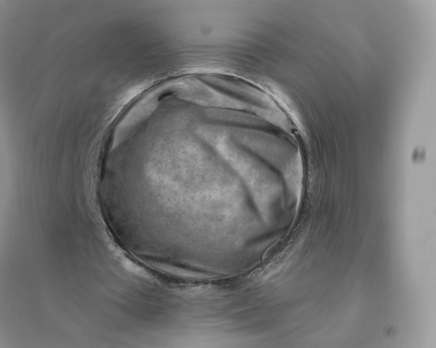 X0000096190385200802011412