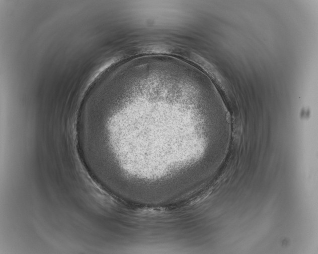 X0000096190386200802011412