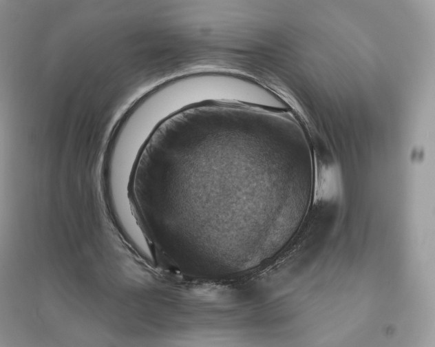 X0000096190387200802011412