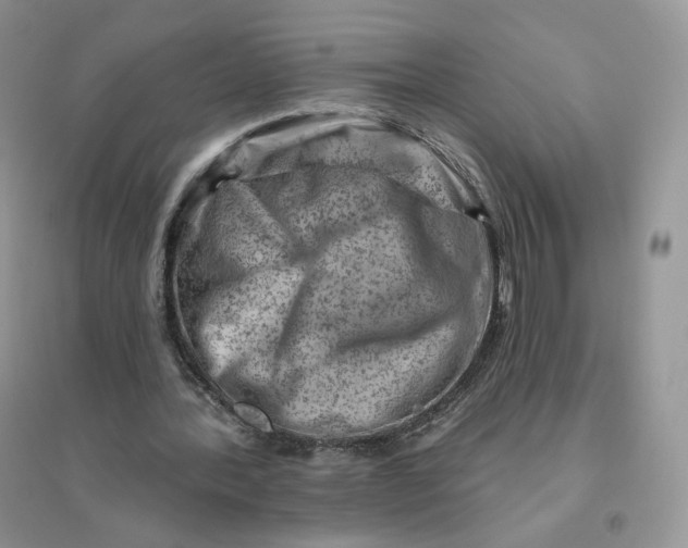 X0000096190388200802011412