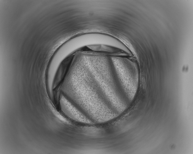 X0000096190389200802011412