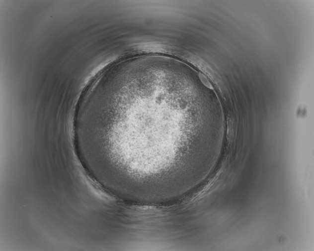 X0000096190390200802011412