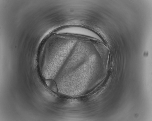 X0000096190392200802011412