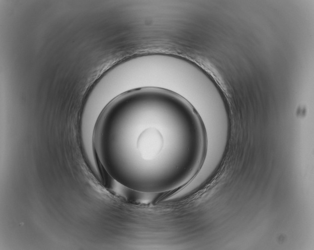 X0000096190393200802011412