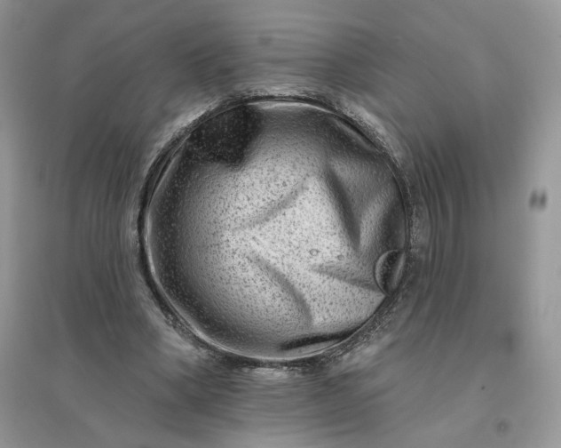 X0000096190394200802011412