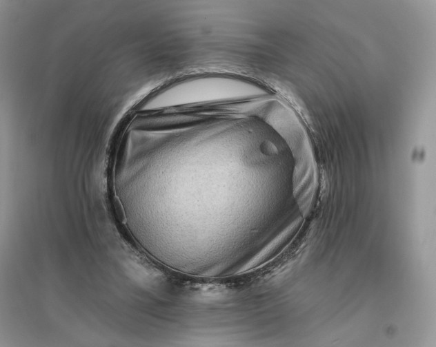 X0000096190395200802011412