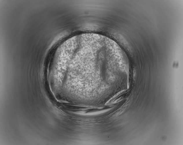 X0000096190396200802011411