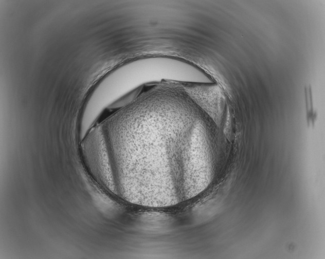 X0000096190397200802011411