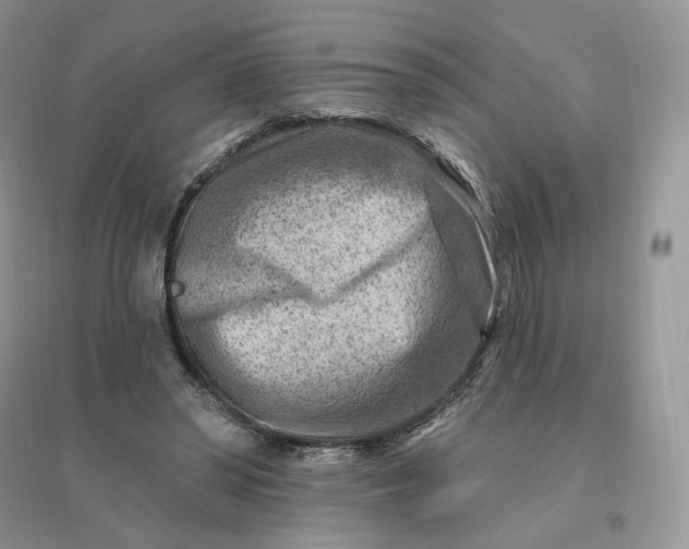 X0000096190398200802011411