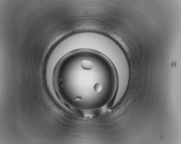 X0000096190399200802011411