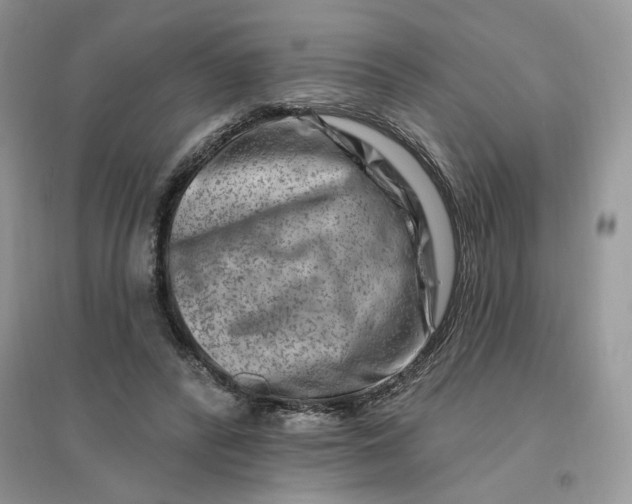 X0000096190400200802011411