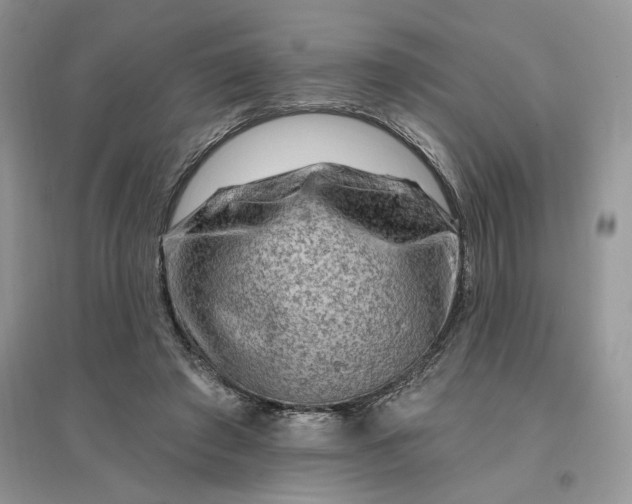 X0000096190401200802011411