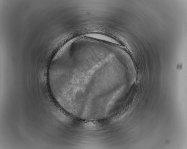 X0000096190402200802011411