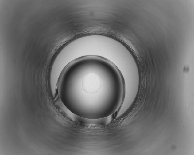 X0000096190403200802011411