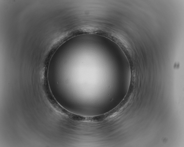 X0000096190404200802011411