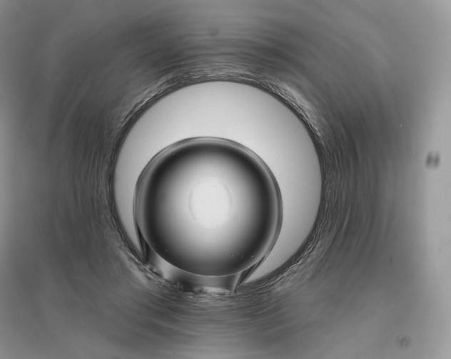 X0000096190405200802011411