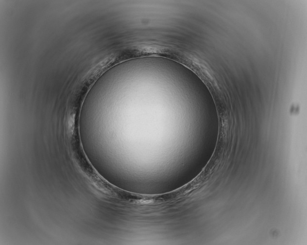 X0000096190406200802011411