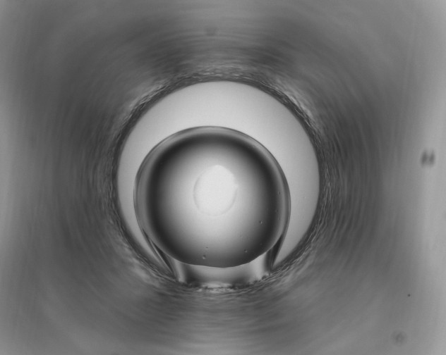 X0000096190407200802011411