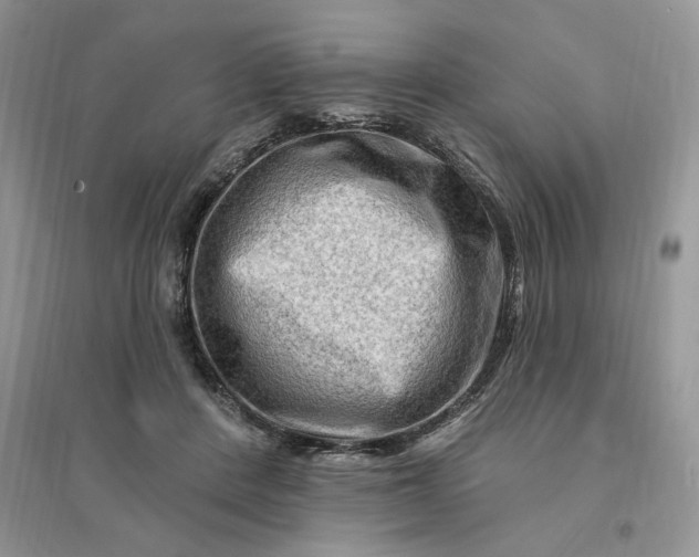 X0000096190408200802011411