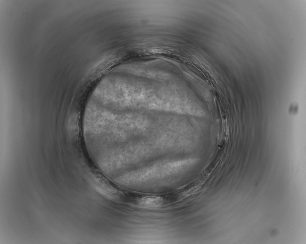 X0000096190410200802011411