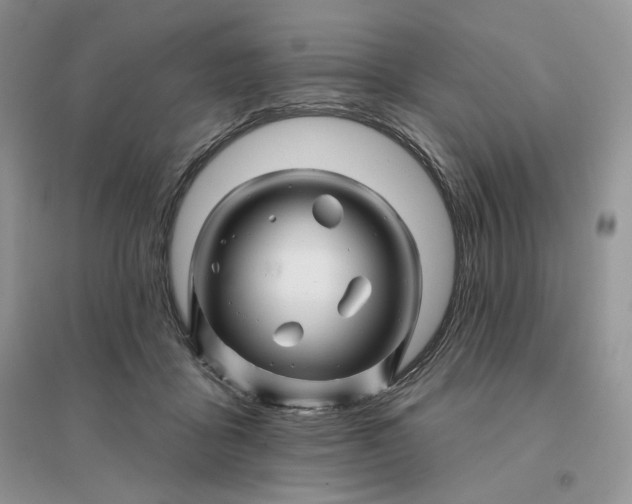 X0000096190411200802011411