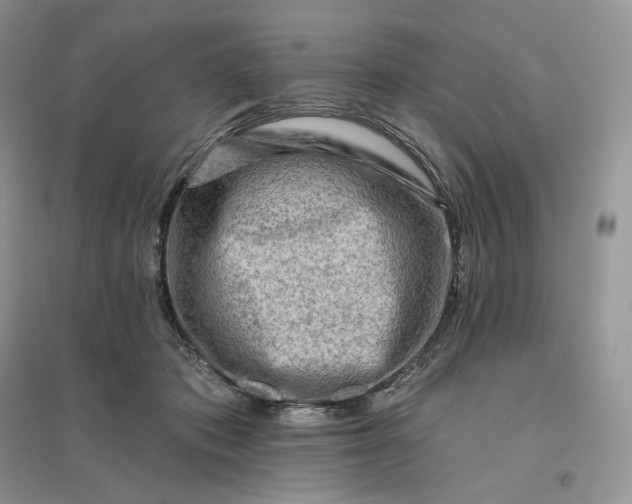 X0000096190413200802011411