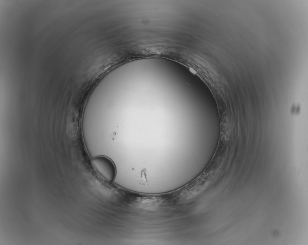 X0000096190414200802011411