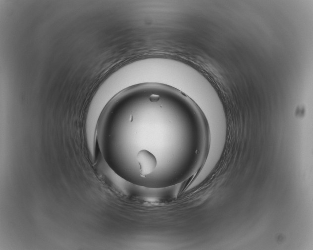 X0000096190415200802011411