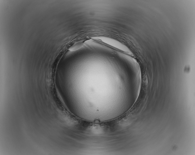 X0000096190416200802011411