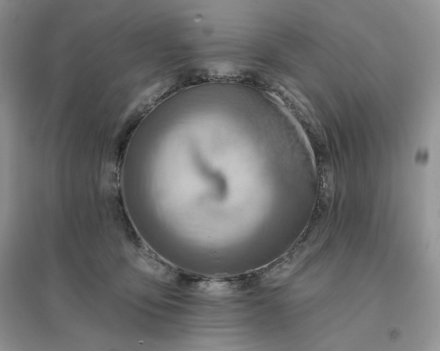 X0000096190419200802011411