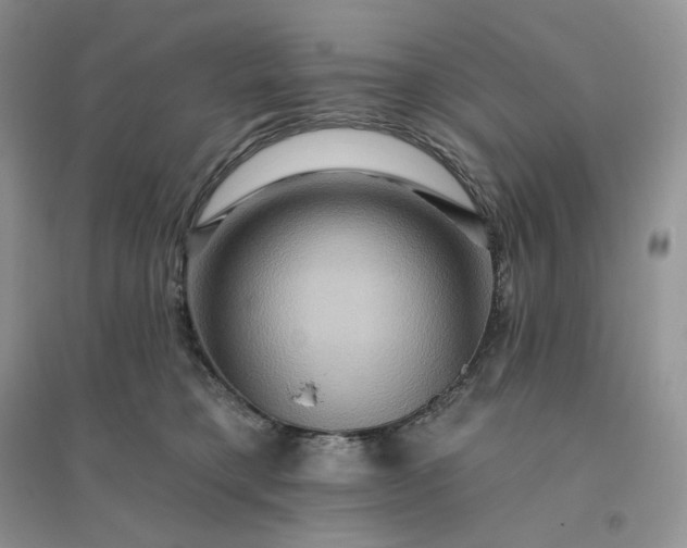 X0000096190421200802011411