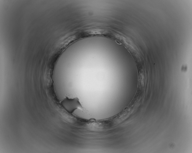 X0000096190422200802011411