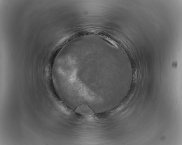 X0000096190424200802011411