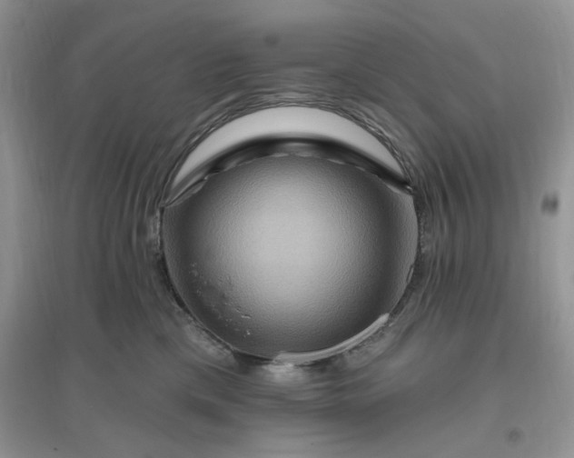 X0000096190425200802011411