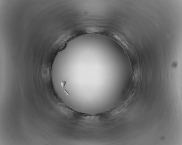 X0000096190426200802011411