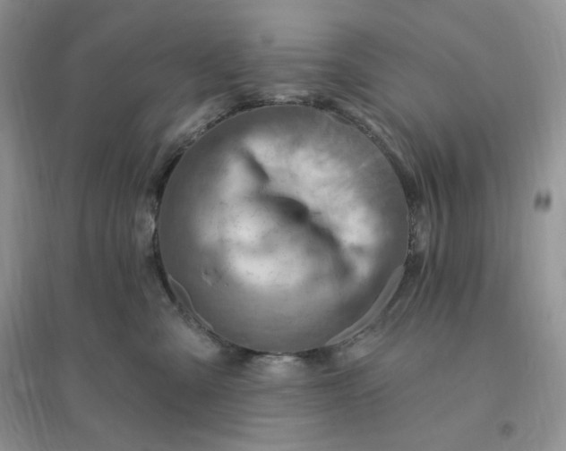 X0000096190427200802011411