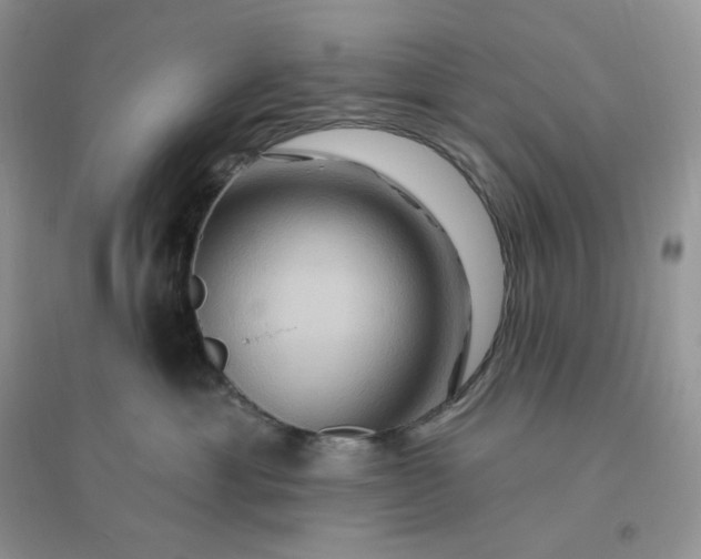 X0000096190429200802011411