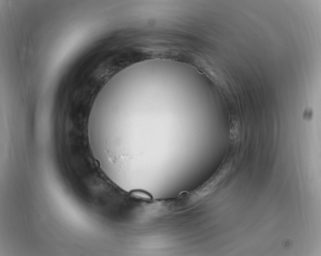 X0000096190430200802011411