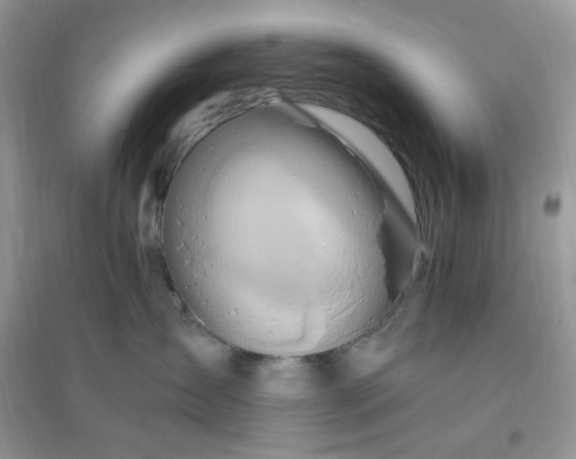 X0000096190431200802011411