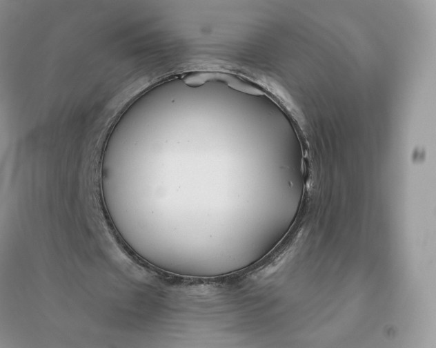 X0000096190433200802011410