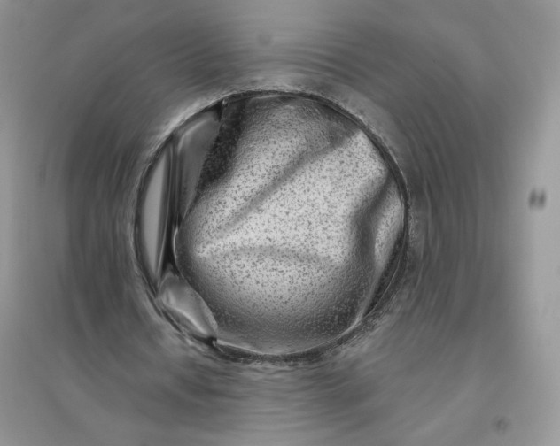 X0000096190434200802011410