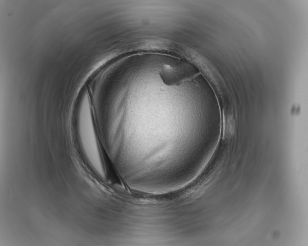 X0000096190435200802011410